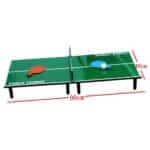 Petite table de ping pong interieur 3